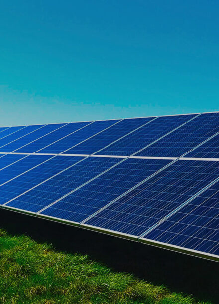 panouri fotovoltaice